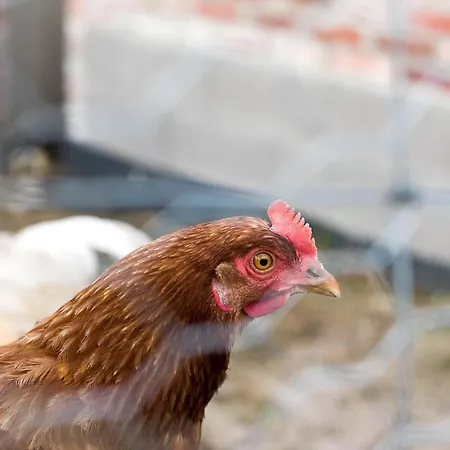 Naturzeit Apartament Horsmar