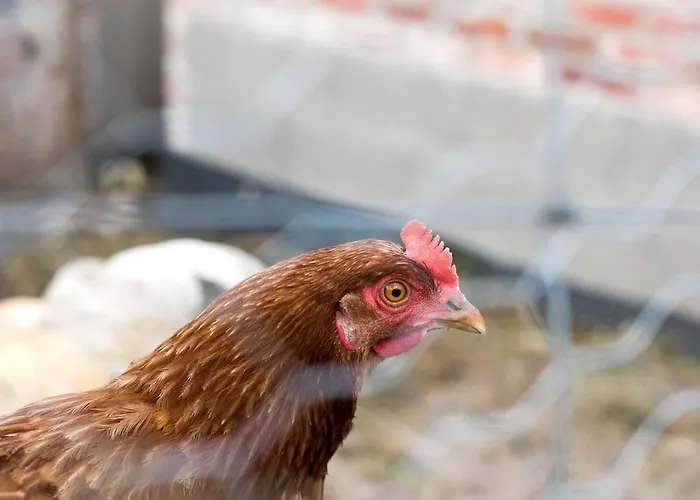 Naturzeit 公寓 Horsmar